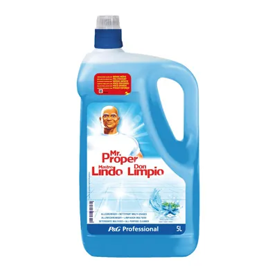 Détergent multi-usages Mr Propre Océan 5 L - Entretiens divers