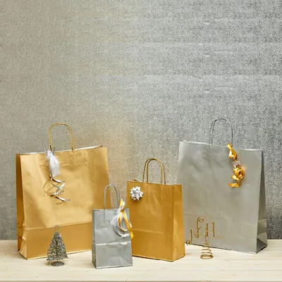 Sac kraft argent à poignées torsadées 18+8x24cm 100g/m² (x50) - Sacs kraft métallisés poignées torsadées-1