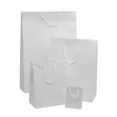 Sac pelliculé blanc brillant poignées cordelette 17,8 x 9,8 x 22,9 cm 157g – Paquet de 20 - Sacs pelliculés poignées cordelette-1