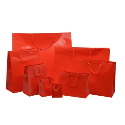 Sacs pelliculés brillants - Sacs pelliculés poignées cordelette-1