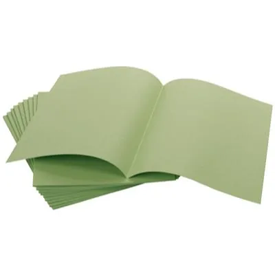 Chemise dossier cartonnée A4 220g 24 x 32 cm Exacompta Forever - Vert - Lot de 100 - Chemises à élastique, Chemises dossier