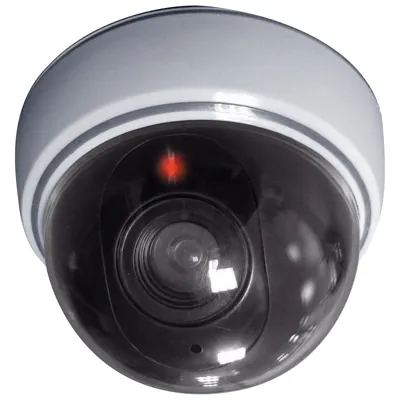 Caméra dôme factice - Surveillance