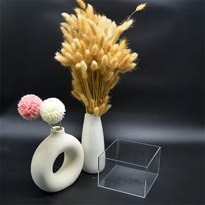 Cube de présentation transparent PMMA 15 x 15 x 10 cm - Cube plexi - Cube acrylique - Supports Plexi-1