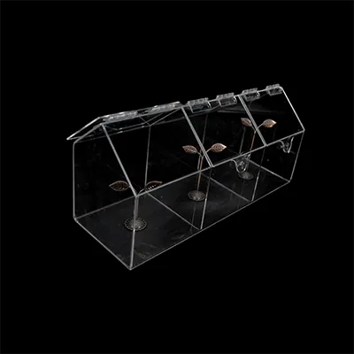 Présentoir acrylique 3 compartiments 45 x 20 x 15 cm - Bac de présentation - Bac vrac - Supports Plexi-1