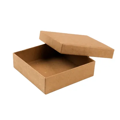 Boîte kraft - Boites cloches-2