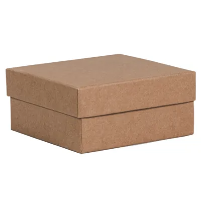 Boîtes kraft - Boites cloches