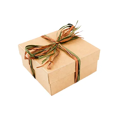 Boîtes kraft - Boites cloches-3