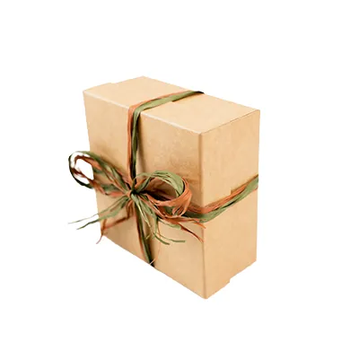 Boîtes kraft - Boites cloches-4