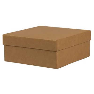 Boîte kraft - Boites cloches