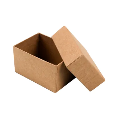 Boîtes kraft - Boites cloches-2