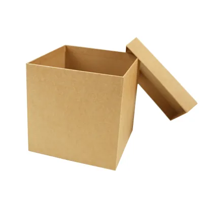 Boîte carrée kraft à couvercle amovible - 20 x 20 x 20 cm - Boites cloches-2