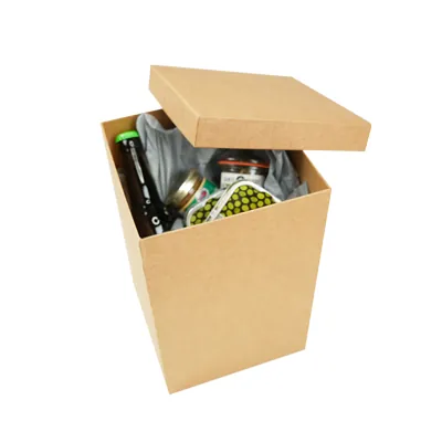 Papier de soie gris clair 17g/m² 50 x 75 cm, 240 feuilles - Papiers de soie-1