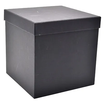 Boîte carrée kraft à couvercle amovible - 20 x 20 x 20 cm - Boites cloches