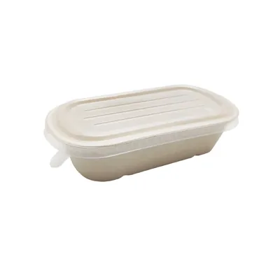 Couvercle transparent pour boîte repas 24 x 13,5 x 1,1 cm plastique - Lot de 50 - Boîtes repas jetables, Plateaux compartimentés-3