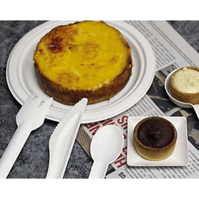 Fourchettes en bagasse - Couverts jetables-1