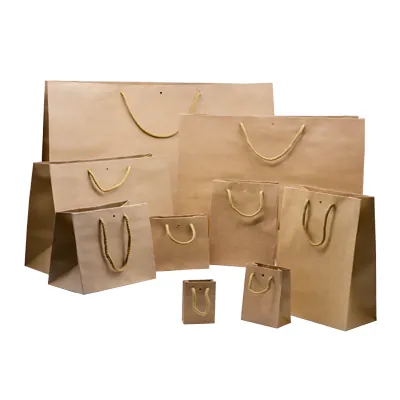 Sacs kraft luxe bruns poignées cordelette 39+18x29 cm 170g/m² – Paquet de 10 - Sacs kraft luxe-1