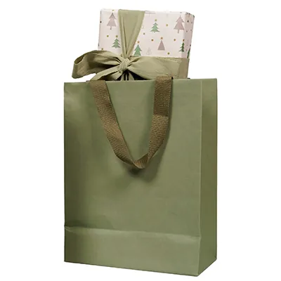 Sacs cadeaux kraft - vert tilleul - 25 + 13 x H 33 cm - Sacs kraft luxe-1