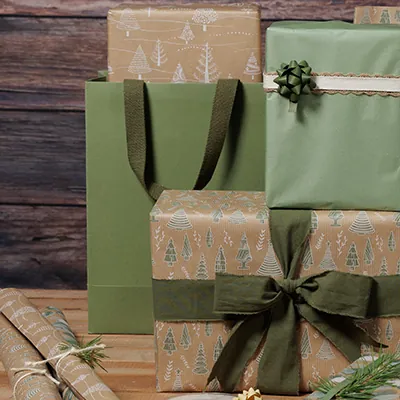 Sacs cadeaux kraft - vert tilleul - 25 + 13 x H 33 cm - Sacs kraft luxe-2