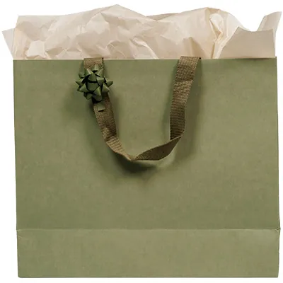 Sacs cadeaux kraft - vert tilleul - 36 + 13 x H 30 cm - Sacs kraft luxe-1
