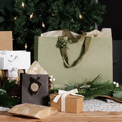 Sacs cadeaux kraft - vert tilleul - 36 + 13 x H 30 cm - Sacs kraft luxe-2