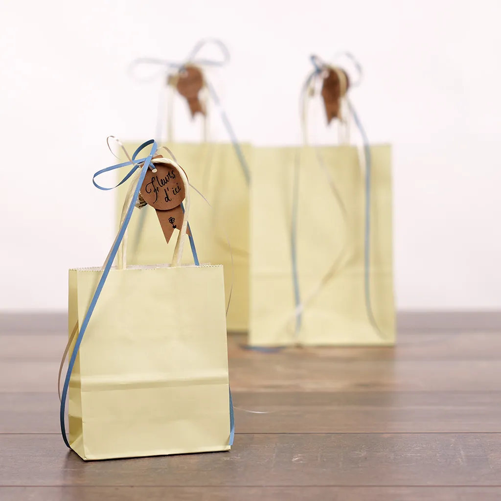 Sacs kraft jaune pastel à poignées torsadées 16+8x22cm 120g/m² (x50) - Sacs kraft couleur poignées torsadées-4
