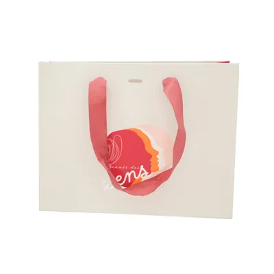 Sacs papier kraft poignées rubans - 22 + 9 x 17 cm - collection Beauté - Sacs pelliculés à motifs-1