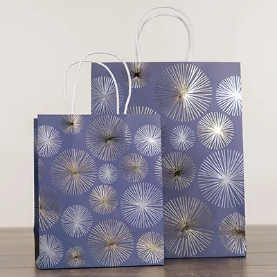 Sac cadeau kraft poignées torsadées bleu marine Feu d'artifice 18 + 10 x 22 cm - Paquet de 20 - Sacs kraft luxe-1