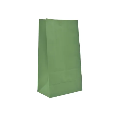 Pochette cadeau SOS kraft vert tilleul 9x6x18 cm 70 g/m² - Paquet de 250 - Pochettes SOS kraft