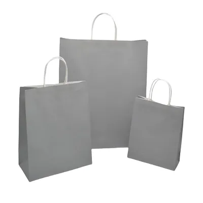 Sac kraft gris poignées torsadées 35x14x44cm – Paquet de 50 - Sacs kraft couleur poignées torsadées-1