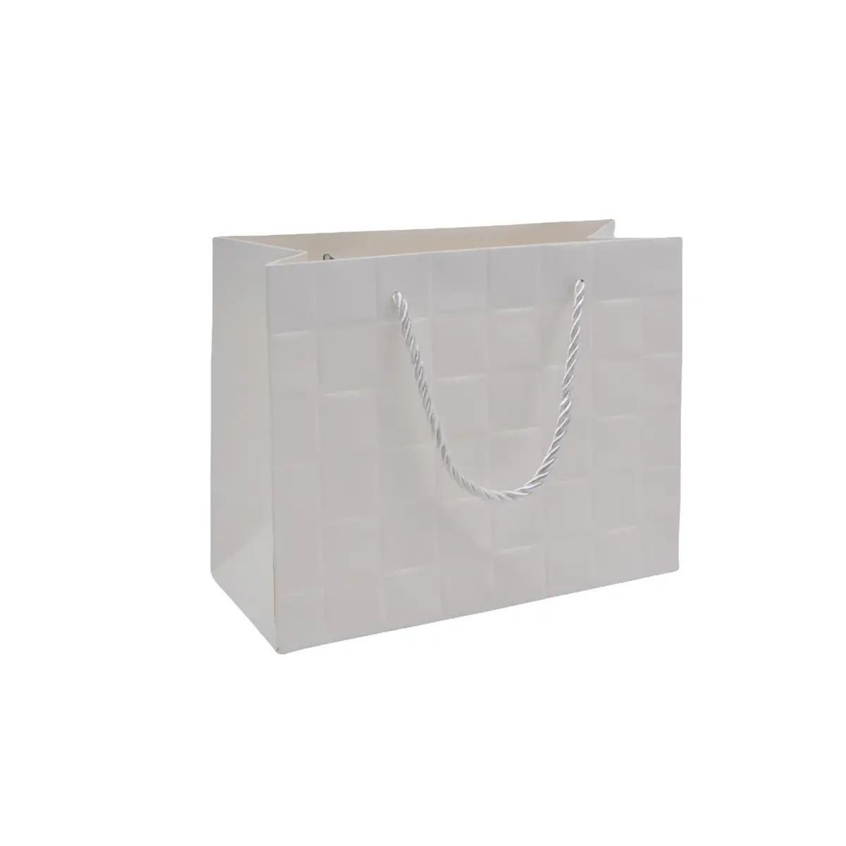 Sacs pelliculés blancs embossés tressés poignées cordelette 23+10x18cm 210g/m² - Paquet de 20 - Sacs pelliculés à motifs
