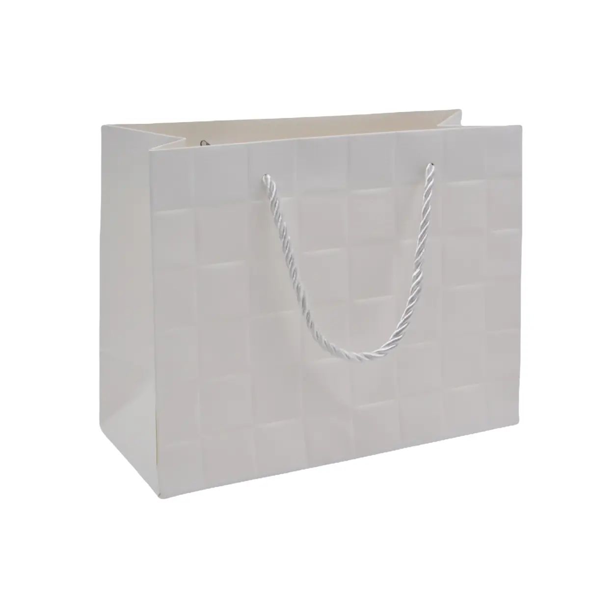 Sacs pelliculés blancs embossés tressés poignées cordelette 31+12x26 cm 210g/m² – Paquet de 20 - Sacs pelliculés à motifs