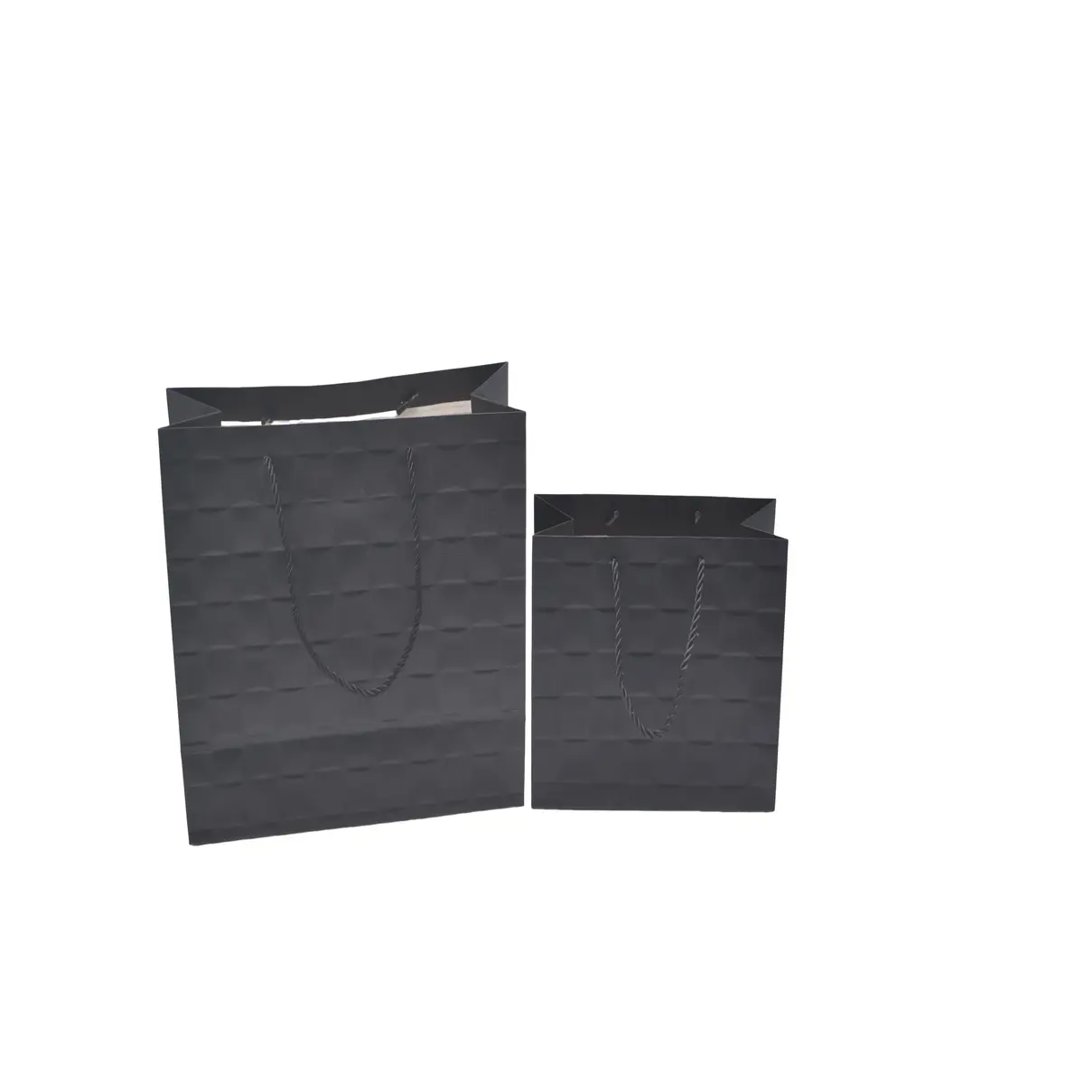 Sacs pelliculés noirs embossés tressés poignées cordelette 23+10x18 cm 210g/m² – Paquet de 20 - Sacs pelliculés à motifs-2