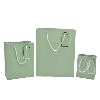 Sac pelliculé vert mat poignées cordelettes 12+7x15 cm 210g/m² – Paquet de 20 - Sacs pelliculés poignées cordelette-1