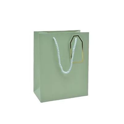 Sac pelliculé vert mat poignées cordelettes 18+10x23 cm 210g/m² – Paquet de 20 - Sacs pelliculés poignées cordelette