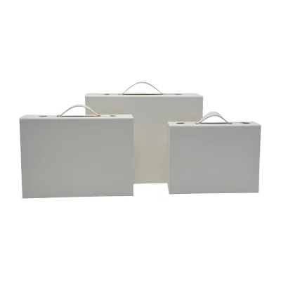 Boites cadeaux carton pliables blanches 28,2x20,2x9,2cm avec poignée – Paquet de 5 - Boites carton avec poignée-2
