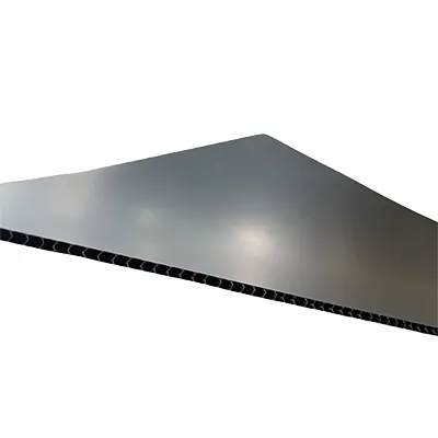 Plaque polypropylène alvéolaire noir 80 x 120 cm 3mm 600 g/m² - Plaques alvéolaires-1