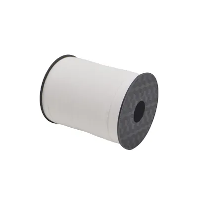 Bolduc mat blanc 10 mm x 250 m polypropylène - Bolducs unis-1