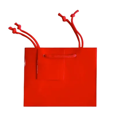 Sacs pelliculés brillants - Sacs pelliculés poignées cordelette