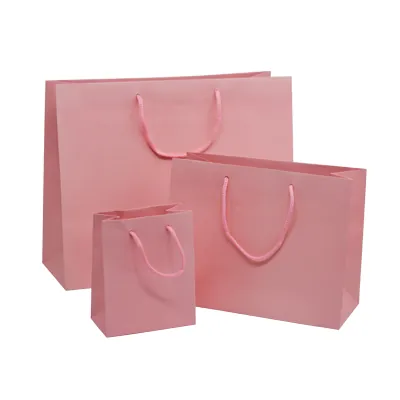 Sac pelliculé rose poudré poignées cordelette 22,9 x 9,8 x 17,8 cm 157g – Paquet de 20 - Sacs pelliculés poignées cordelette-1