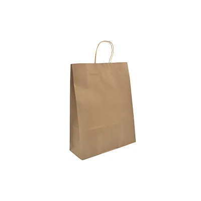 Sac kraft brun poignées torsadées 24 x 10 x 31 cm - Sac papier kraft - Paquet de 200 - Sacs kraft brun poignées torsadées