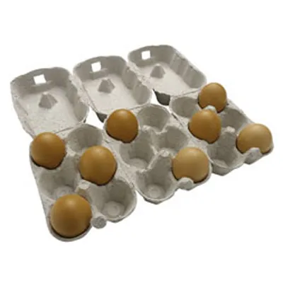 Boîtes carton 6 oeufs 462 pièces 31 x 15,5 x 7,2 cm - Boîtes traiteur