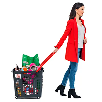 Panier sur roulettes - Paniers magasin-2