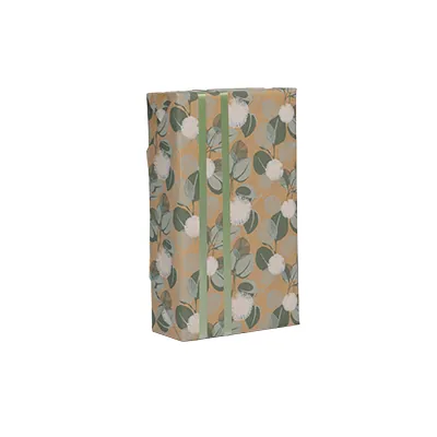 Papier cadeau kraft brun/vert/blanc Eucalyptus 70 cm x 50 m 60g/m² - Papiers cadeaux kraft à motifs-2