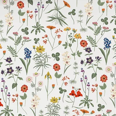 Papier cadeau Herbier - Papiers cadeaux kraft à motifs