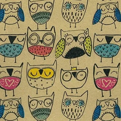 Papier cadeau Hibou kraft brun recyclé 70 cm x 50 m 65 g/m² – le rouleau - Papiers cadeaux enfants