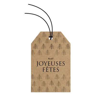 Étiquettes américaines JOYEUSES FÊTES - Brun - L 52 x H 80 mm - Paquet de 12 - Etiquettes cadeaux à trou