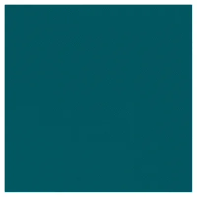 Serviettes 2 plis - Serviettes en papier