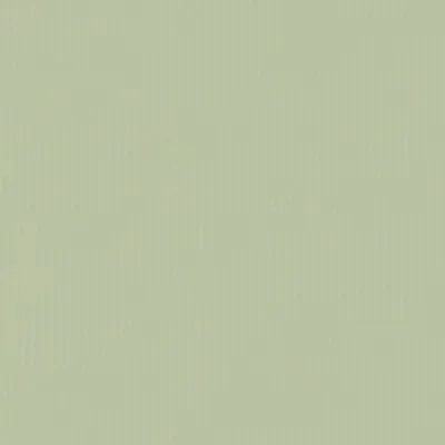 Papier cadeau kraft vergé vert tilleul uni 70 cm x 100 m 60 g/m² – le rouleau - Papiers cadeaux unis-1