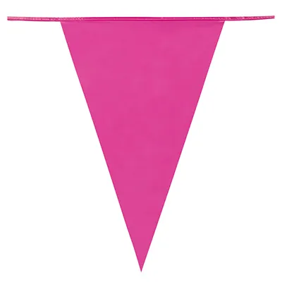 Guirlande 20 fanions - Ballons et Accessoires de fête-1