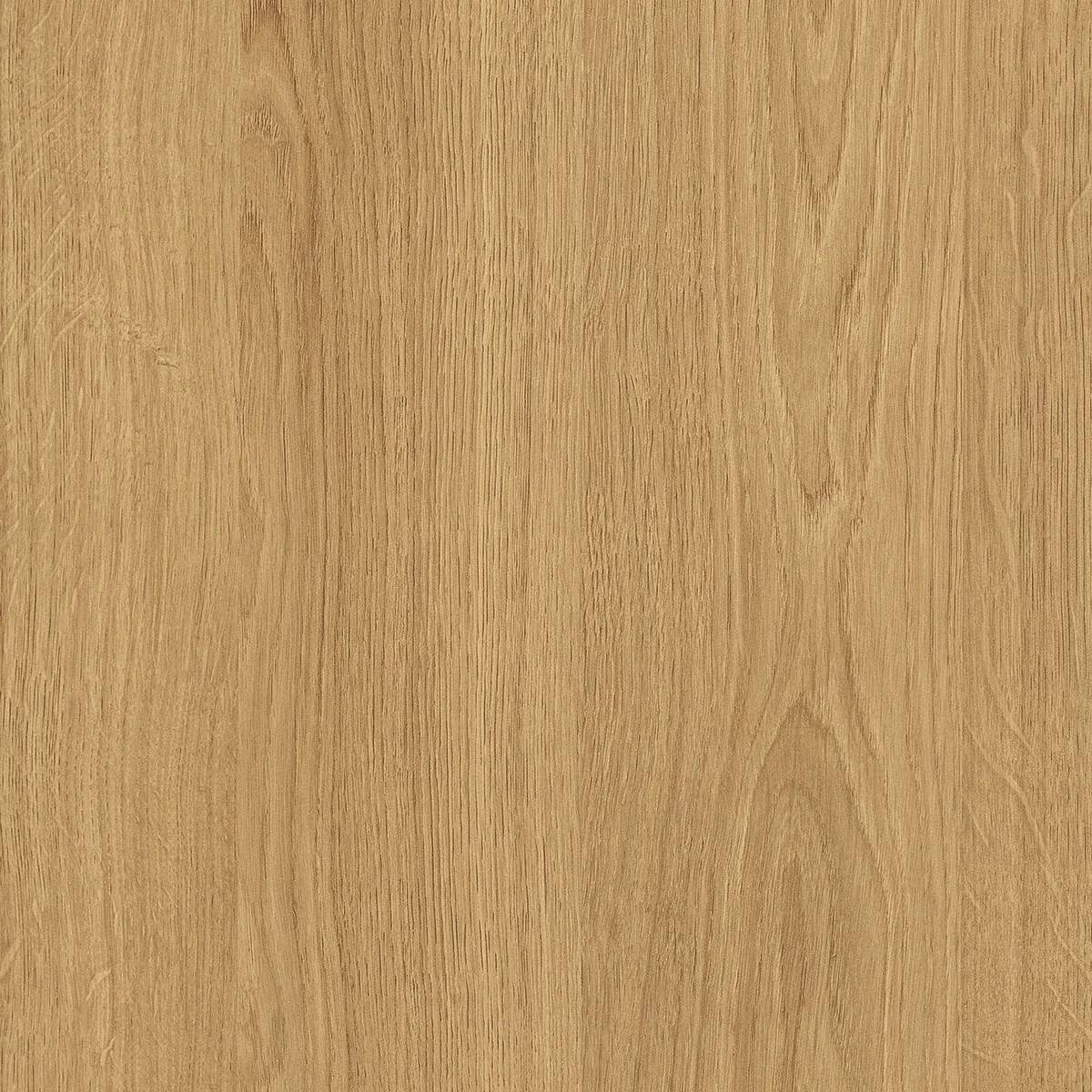 Comptoir magasin bois mélaminé Easy Chêne Corbridge - 117 x 51 x 88 cm - Comptoirs Easy-2